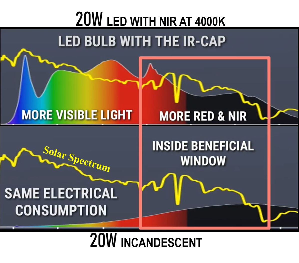 bulb with most infrared